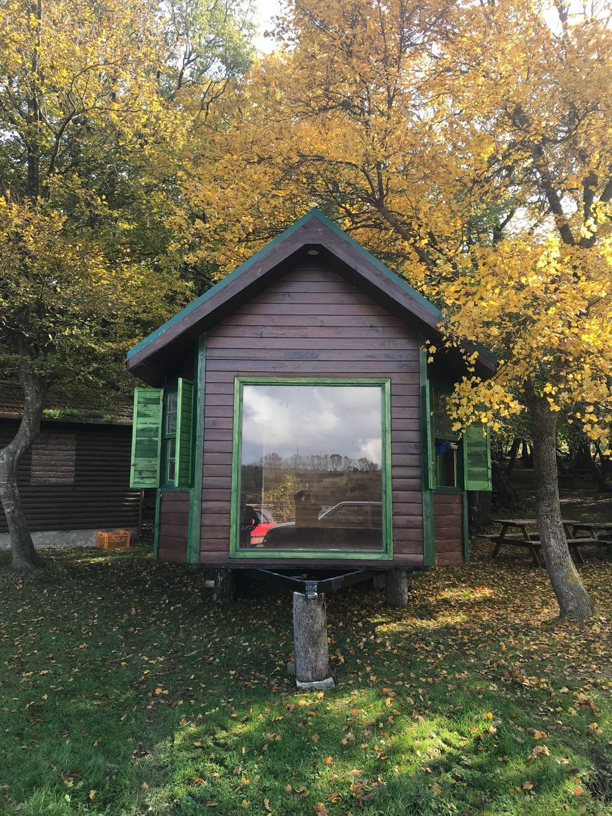 Tiny Houses görsel 1